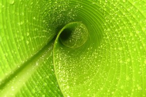 世界帆船赛事气象预报服务覆盖与响应时间统计，世界帆船比赛